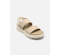 Sandales et nu-pieds Timberland GRFS BACKSTRAP SANDAL LIGHT pour 37 Beige