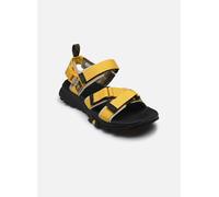 Sandales et nu-pieds Timberland GRTR BACKSTRAP SANDAL MDYLW pour Homme 40 Jaune