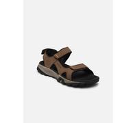 Sandales et nu-pieds Timberland Lincoln Peak Strap Sandal pour Homme 45 Marron