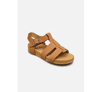 Sandales et nu-pieds Timberland Malibu Waves 2.0 Fishrman pour Femme 36 Marron