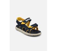 Sandales et nu-pieds Timberland Perkins Row 2-Strap pour Enfant 24 Bleu