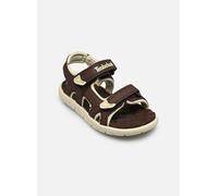 Sandales et nu-pieds Timberland Perkins Row BACKSTRAP SANDAL B pour Enfant 28 Marron