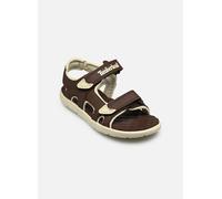 Timberland Perkins Row Backstrap Youth Sandals Marron EU 34 Enfants