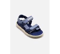 Sandales et nu-pieds Timberland Perkins Row BACKSTRAP SANDAL pour Enfant 25 Bleu