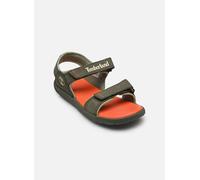 Sandales et nu-pieds Timberland Perkins Row BACKSTRAP SANDAL pour Enfant 38 Vert