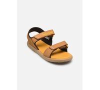 Timberland Perkins Row Backstrap Nubuck Junior Sandals Marron EU 39 Enfants