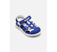 Timberland Perkins Row Fisherman Mesh Toddler Sandals Bleu EU 22 Enfants
