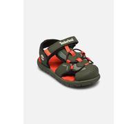 Sandales et nu-pieds Timberland Perkins Row FISHERMAN SANDAL B pour Enfant 26 Vert