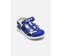 Timberland Perkins Row Fisherman Mesh Youth Sandals Bleu EU 31 Enfants