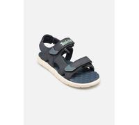 Timberland Perkins Row 2 Strap Youth Sandals Bleu EU 33 Enfants