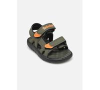 Sandales Timberland Perkins Row 2-Strap vert jaune bebé - 21