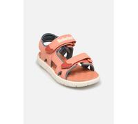 Sandales et nu-pieds Timberland Perkins Row2 STRAP SANDAL pour Enfant 22 Orange