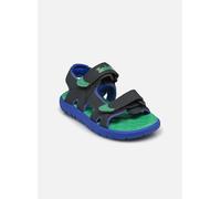 Sandales Timberland Perkins Row 2-Strap vert gris bleu bebé - 22