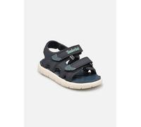 Sandales et nu-pieds Timberland Perkins Row2 STRAP SANDAL T pour Enfant 26 Bleu