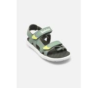 Sandales et nu-pieds Timberland PRRW BACKSTRAP SANDAL LTGRN Y pour Enfant 31 Vert