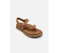 UGG Sandales Goldengaze Toe Post daim marron Femme 37 EU