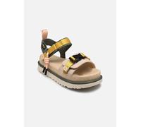 Sandales et nu-pieds UGG W Goldenstar Wildwood pour 42 Beige