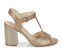 Sandales femmes Café Noir GIMOTTI Marron 40