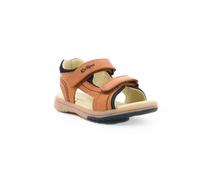 Sandales Kickers Platino Camel - 31