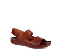 Sandales Pikolinos Tarifa Marron 42