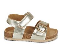 Sandales plates filles BEPPI 2218850 Doré 25