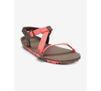 Xero Shoes Sandales Z-trail Ev