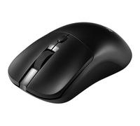 Souris sans fil Noir