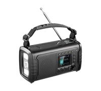 Sandberg 421-38 Radio portable Analogique et numérique Noir