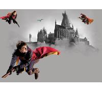 Sanders & Sanders Poster Harry Potter Gris et Rouge - 601249 - 1.1 x 1.55 m