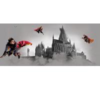 Sanders & Sanders Poster Harry Potter Gris et Rouge - 601270 - 1.7 x 0.75 m