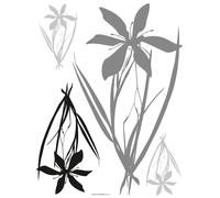Sanders & Sanders sticker mural fleurs gris et noir - 600253 - 65 x 85 cm