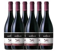 Sander's Selection Navarro Lopez Don Aurelio Syrah Vin Rouge Espagnol 75cl - Lot de 6