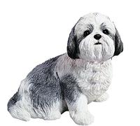 Sandicast Sculpture Shih Tzu en Argent et Blanc, Assis, Taille réelle