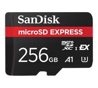 SanDisk Professional Express m