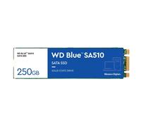 Western Digital Blue SA510 M.2 250 Go Série ATA III