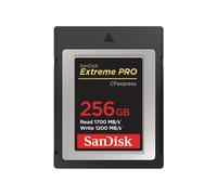 Carte Extreme Pro SanDisk CFexpress type B 256 Go E