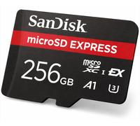 SanDisk Professional Express m