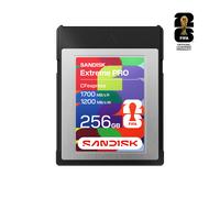 SanDisk CFexpress(TM) Type B Card: FIFA World Cup 2026(TM) Edition - 256GB - SDCFE-256G-GF4NN