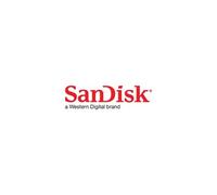 SANDISK CFEXPRESS TYPB EXTREME PRO 512GB