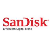 SANDISK CFEXPRESS TYPB EXTREME PRO 512GB G