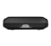 SanDisk - disque dur - Enterprise - 22 To - USB 3.2 Gen 2