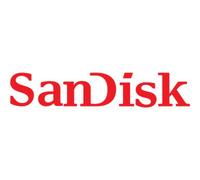 SanDisk Professional G-RAID PROJECT 2