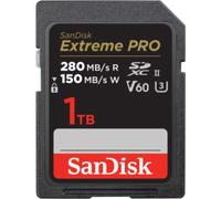 SanDisk SDSDXEP-1T00-GN4IN Carte mémoire 1000 Go SDXC UHS-II classe 10 (SDSDXEP-1T00-GN4IN)