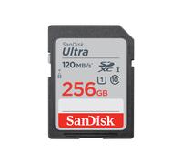 SanDisk Ultra 256 Go SDXC Classe 10
