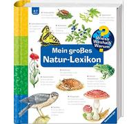 Sandra Noa Esther von Hacht Christine Henkel S Wieso? Weshalb? Warum?: (Relié)