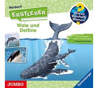 Sandra Noa - Wieso? Weshalb? Warum? Erstleser: Wale & Delfine-