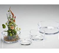 SANDRA RICH SandraRich Terrinaredondacristal16 X 8-He.12 (704016)
