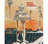 Sandra Vásquez de la Horra: The Awake Volcanoes by Vicuna, Cecilia [Paperback]