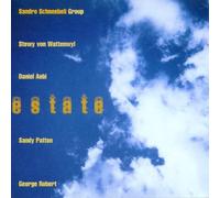 Sandro Schneebeli Group - Estate