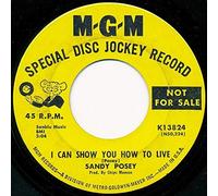 SANDY POSEY - SANDY POSEY - are you never coming home/ i can show you how MGM 13824 (45 single vinyl record)
